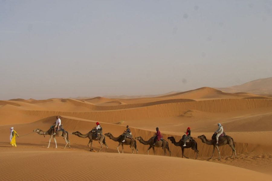 Fullday tour  from  Arfoud  to Merzouga Desert