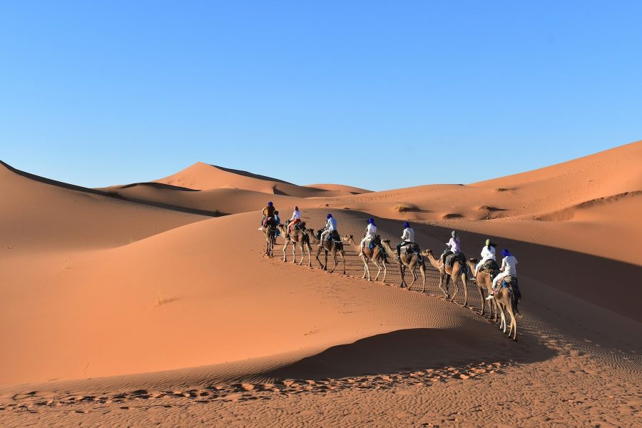 Day Tour Errachidia Erfoud  to Merzouga Desert