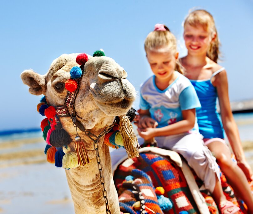 triptodesert.com familytours