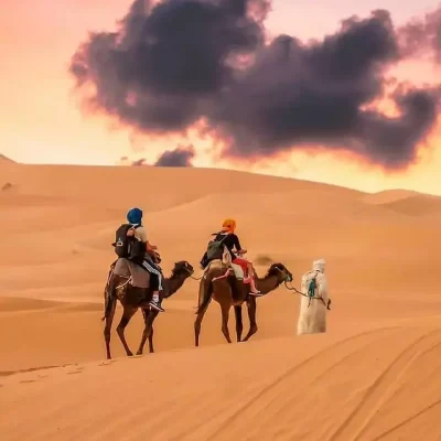 triptodesert